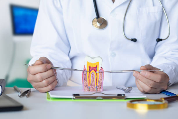 Best After-Hours Emergency Dentist in Fairfield Bay, AR